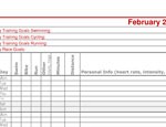 Basic triathlon training log with in a page-per-month layout.